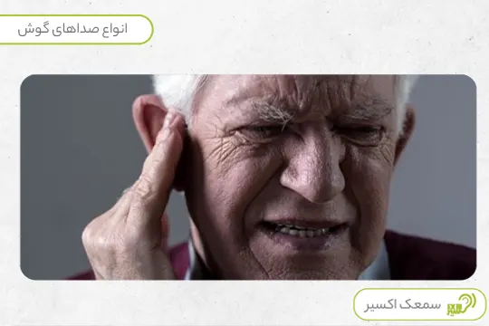 انواع صداهای داخل گوش