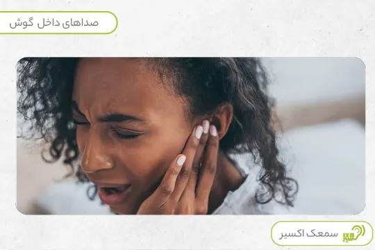 صداهای داخل گوش