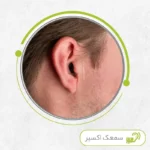 سیلک سیگنیا